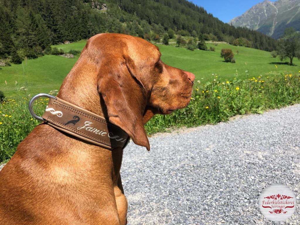 Hundehalsband
