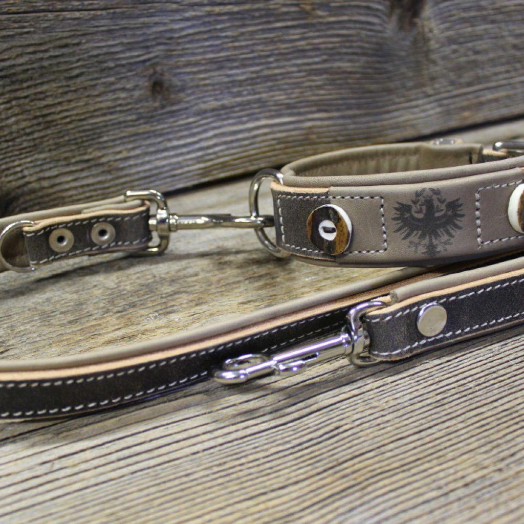 Hundehalsband mit Leine